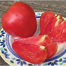 PM Anna Russian Tomato Seeds (((25 Seed Packet))) (More Heirloom, Organic, Non G - £3.74 GBP