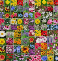 BZ 5000 Seeds Wildflower Mix Landscaper’S Pack Bulk Bulk Seeds - $16.10