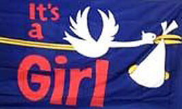 NEW ITS A GIRL baby FLAG 3X5 flags banners babies girls - $9.55