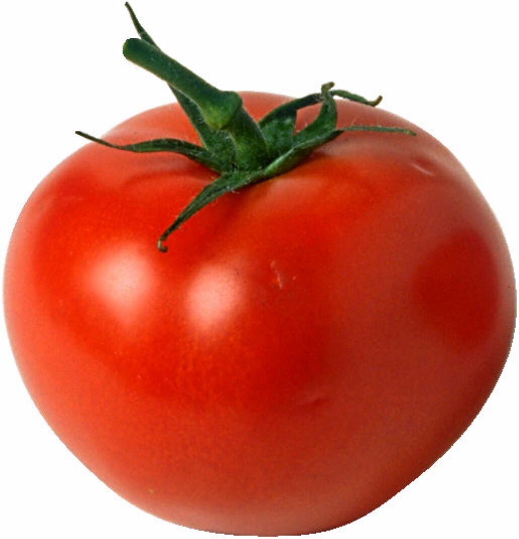 1 Oz Tomato Seeds stead Tomato Seed New Fresh US Shipping - $57.50