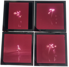 4 Diff VTG Fireworks in Night Sky Glass Plate Photo Slide Magic Lantern July 4th - £29.85 GBP