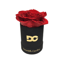 Single Preserved Red Rose, Long Lasting, Suede Black Box, Perfect Gift Idea - £12.61 GBP