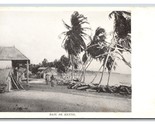 Baie De Henne Village Haiti UNP Buch Pharmacie DB Postcard W8 - $24.70