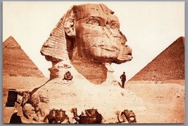 The Sphinx of the Pyramids Postcard Splendors of Egypt Portland Art Muse... - £4.32 GBP