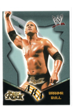 2002 Fleer WWE Royal Rumble The Rock AKA Brahma Bull #81 Dwayne Johnson Card NM - $2.95
