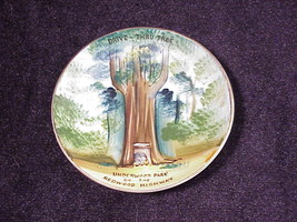Drive Thru Tree Redwood Highway, Underwood Park California Souvenir Smal... - £5.10 GBP