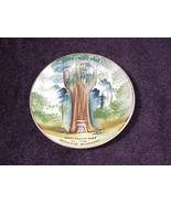 Drive Thru Tree Redwood Highway, Underwood Park California Souvenir Smal... - £5.11 GBP