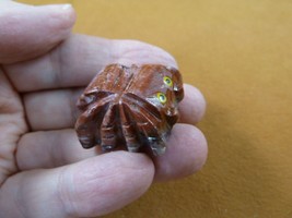 (Y-SPI-3) little red gray TARANTULA spider gem stone figurine SOAPSTONE ... - £6.75 GBP