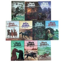 x10 Black Stallion Random House 1980s editions Vintage Walter Farley - £46.51 GBP