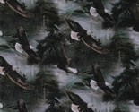 Cotton Bald Eagles Nature Scenic Birds Wildlife Fabric Print by the Yard... - $9.95