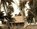 RPPC Aldea De Corozal Honduras Grass Hut Palm Trees UNP Postcard - $18.16