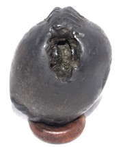 Adwaitya Golden Shweta Matangi Dasha MahaVidya Shaligram - Nepal - $2,319.01 MXN