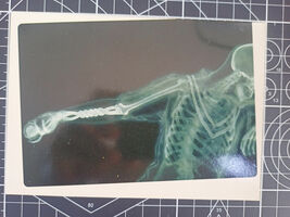 Item image 14