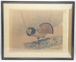 Frank Beebe Ruffed Grouse Framed Print - £40.71 GBP