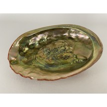 Red Abalone Shell 7.5” x 6” Beautiful Polished Beach Theme Decor Soap Dish Bowl - £79.09 GBP