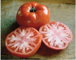 VP 50 Seeds Valley Girl Tomato Tomatoe Vegetable Garden Edible Canning - £3.65 GBP