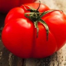 50 Seeds Beefsteak Tomato Seeds | NON-GMO | Heirloom | Fresh Vegetable Seeds - £3.63 GBP