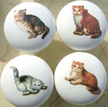 Ceramic Cabinet Knobs 4 Kittens Cats - £13.14 GBP