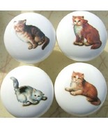 Ceramic Cabinet Knobs 4 Kittens Cats - £13.18 GBP