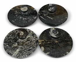 786g, 4pcs, 4.4&quot; Small Black Fossils Ammonite Orthoceras Bowl Round Ring,B8838 - £48.11 GBP