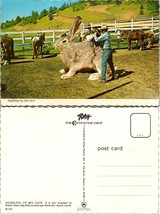Cowboy Saddling Up Big Jack Oversized Giant Rabbit Gag Gift Funny VTG Postcard - £7.51 GBP