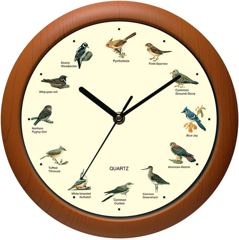 Belinlen Singing Bird Wall Clock 12 Inch of the Bird Names and Songs - £23.63 GBP