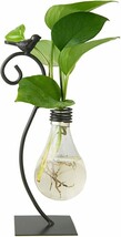 Marbrasse Desktop Glass Planter Hydroponics Vase, Planter Bulb Vase With Holder - £32.36 GBP