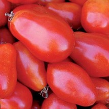 Martino&#39;S Roma Tomato Seeds Organic Fast Shipping - $7.48