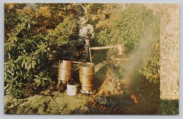 Authentic Moonshine Still Captured Below Jump Off Rock North Carolina Postcard - £10.85 GBP