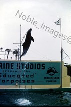 1961 Marine Studios Porpoise Show Marineland FL Kodachrome 35mm Slide - £3.16 GBP