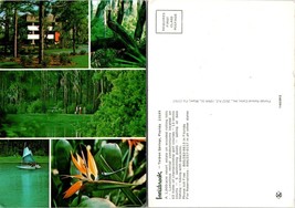 Florida Tarpon Springs Resort Estate Wooded Rolling Hills VTG Postcard - £7.40 GBP