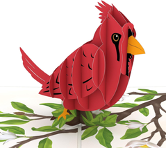 Spring Cardinal 3D Pop-Up Card - £24.46 GBP