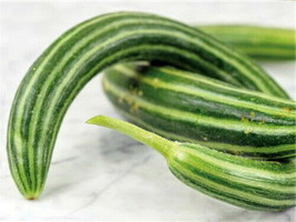 5 Pcs Metki Oriental Serpent Snake Melon Seeds #MNHG - £11.33 GBP