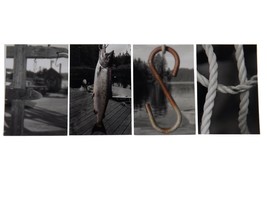 FISH Pics Only Hook Net Dock Lake River Sportsman Photograph Word Letter... - £16.01 GBP
