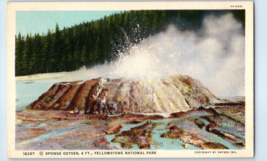 Sponge Geyser Yellowstone National Park Montana Postcard - £5.38 GBP