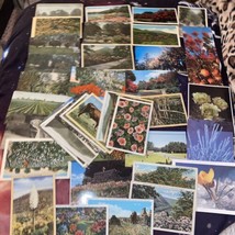Lot Of 54 Vintage Postcards Outdoor Scenery Garden Foliage Misc US Locations - £6.75 GBP