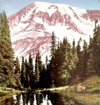 Mt Rainier National Park Washington Postcard c1960-70s Armed Forces PCBG8C - £15.73 GBP