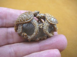 (tb-turt-100) pair of Sea Turtles TAGUA NUT palm figurine Bali carving turtle - £33.61 GBP