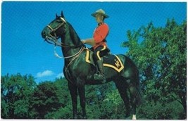 Canada Postcard RCMP Royal Canadian Mounted Police Black Horse - £1.72 GBP
