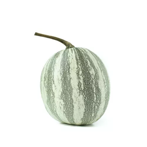 25 Silver Edged Pumpkin Seeds For Garden Planting USA Seller - $10.50