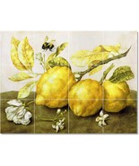 Giovanna Garzoni Fruit Vegetables Painting Ceramic Tile Mural BTZ22458 - $164.12 CAD+
