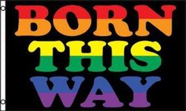 1 RAINBOW BORN THIS WAY 3 X 5 FLAG novelty new 3x5 advertizing flags FL4... - $6.64
