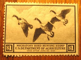 US Department of Agriculture Migratory Bird Hunting Stamp void date of 6-30-1937 - £31.86 GBP