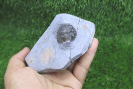 Item image 13