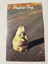 Vintage Postcard - The Prairie Dog Wyoming - Colourpicture Publishers - £11.96 GBP