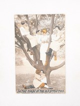 1914 Victorian In Shade Old Apple Tree Lovers Postcard Posted Gold Border - $9.74