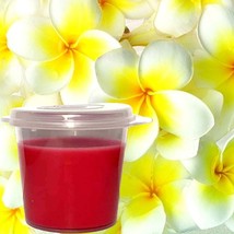 Frangipani Scented Soy Wax Candle Melts Shot Pots, Vegan, Hand Poured - £12.58 GBP+