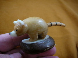 (TNE-BEA-PAR-261c) baby Red Panda BEAR TAGUA NUT Figurine Carving Vegeta... - $26.64
