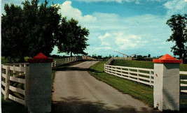 Calumet Farm Near Lexington Kentucky Postcard - £5.17 GBP