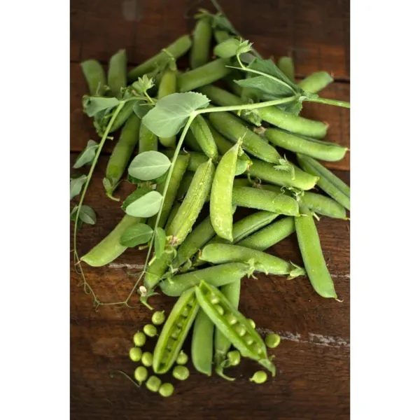 140+ Early Frosty Pea Seeds Non - Gmo Heirloom Harvest Fresh New - $11.98